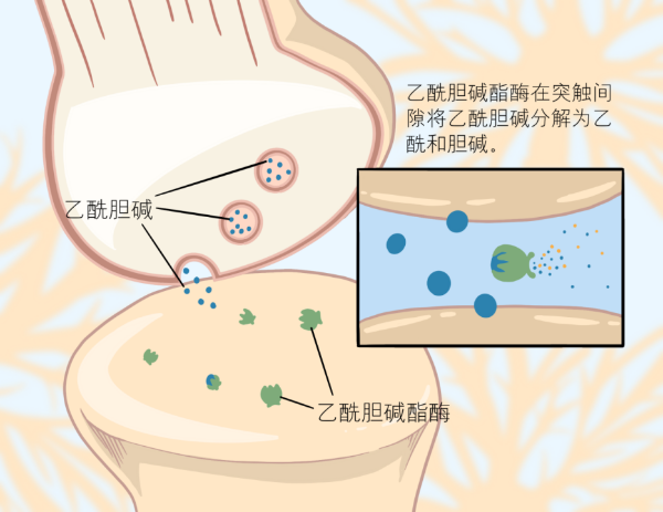 黄金城集团·(中国区)官方网站