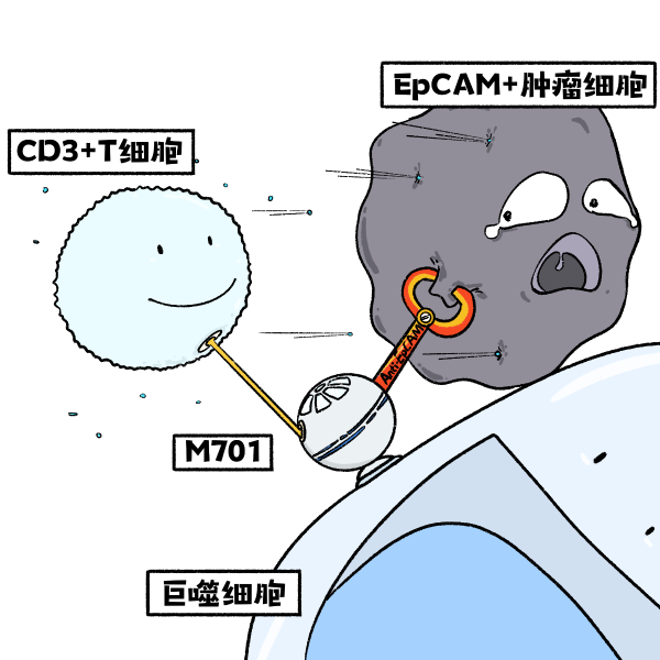 黄金城集团·(中国区)官方网站