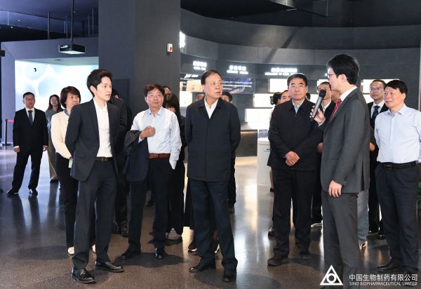 黄金城集团·(中国区)官方网站